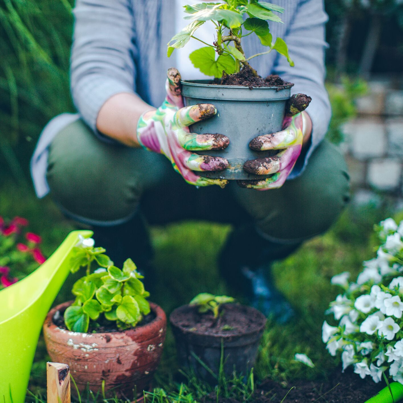 Gardening